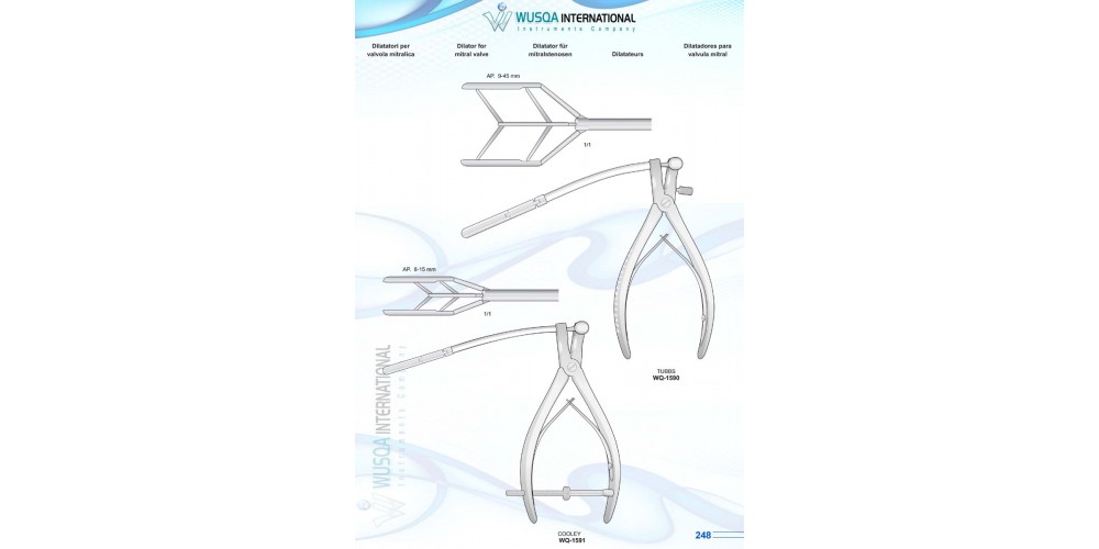 Dilator for Mitral Valve